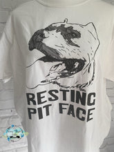 Load image into Gallery viewer, Resting Pit Face